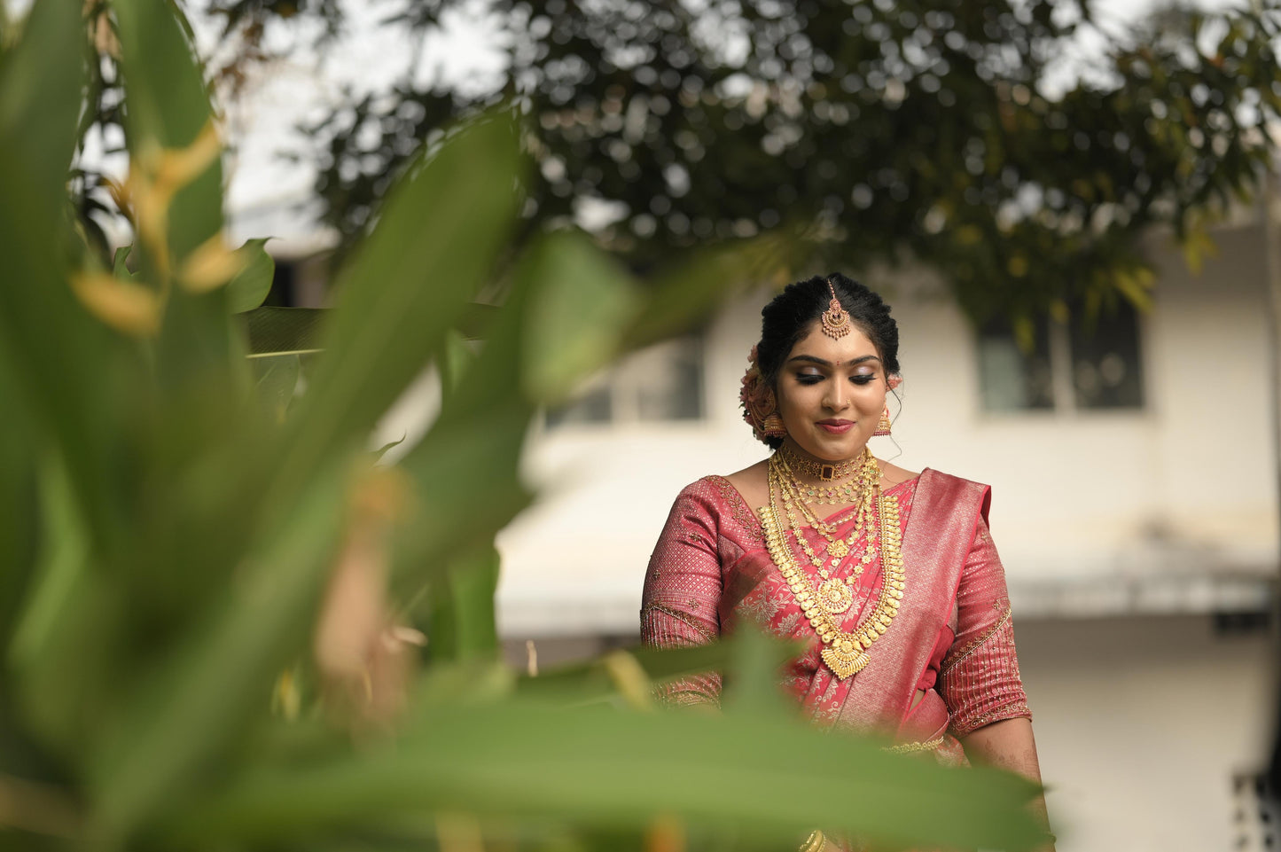 Aroha Bridal Collection